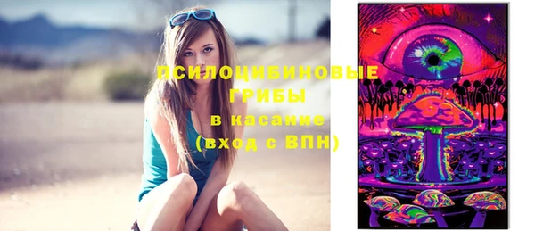 соль ск Алзамай